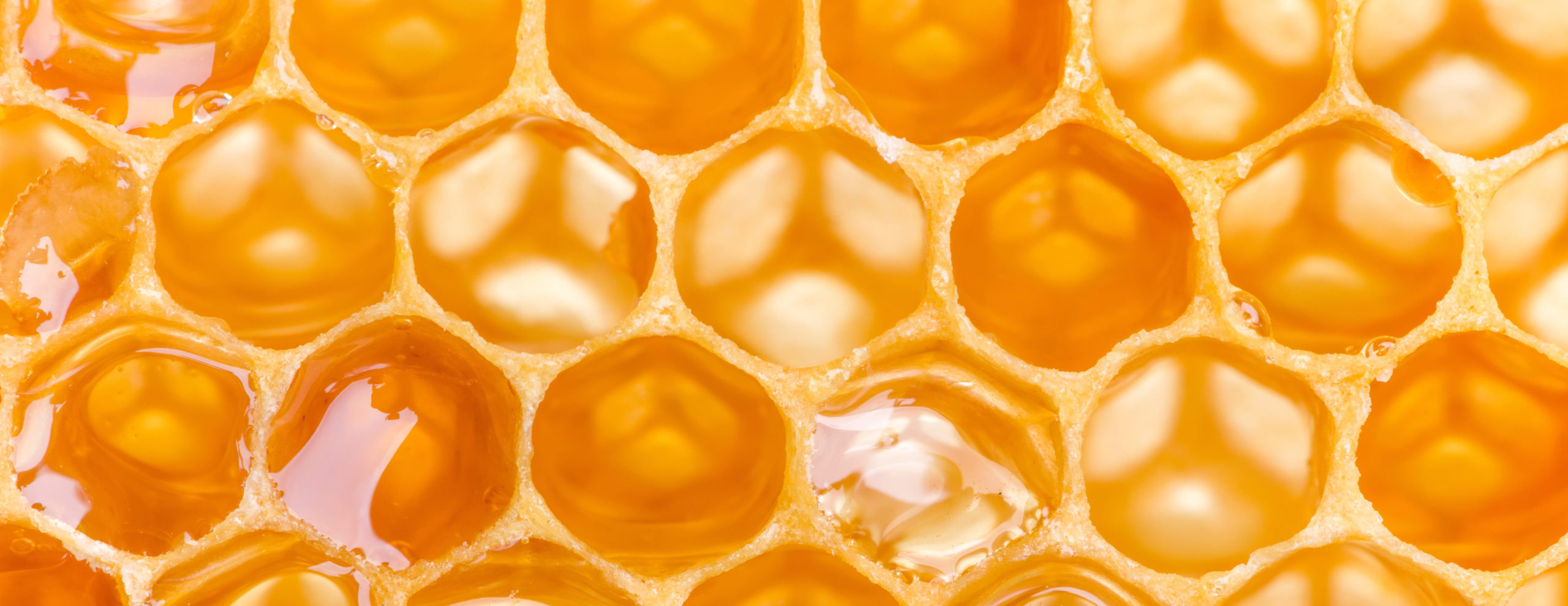 Honeycomb